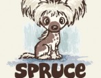 Spruce-Bcard