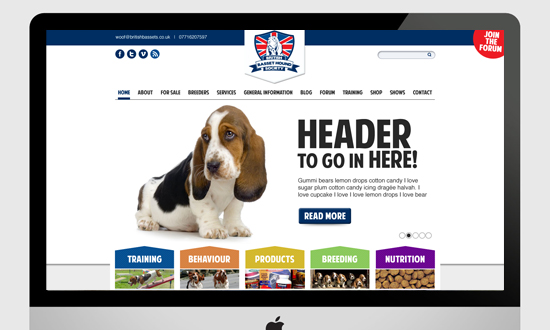 British-Basset-hound-website-design website design cornwall