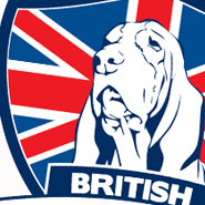 The British Basset Hound Society The British Basset Hound Society