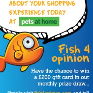 PAH-FishForOpinion-poster PAH-FishForOpinion-poster