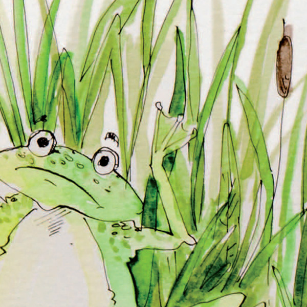illustration-frog