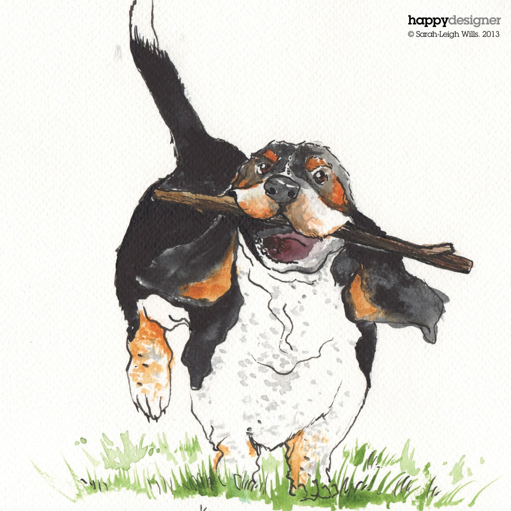 Basset-illustration1