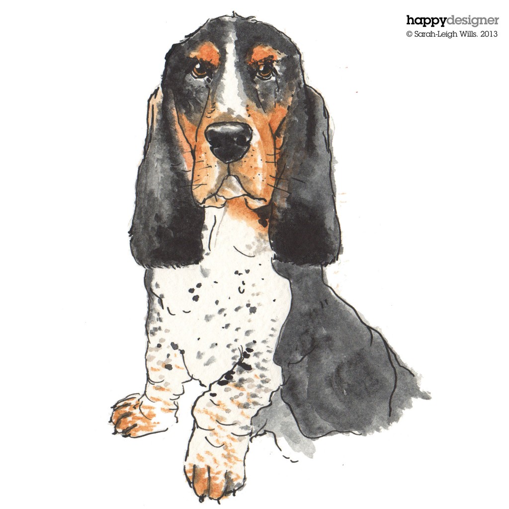 Basset-illustration2