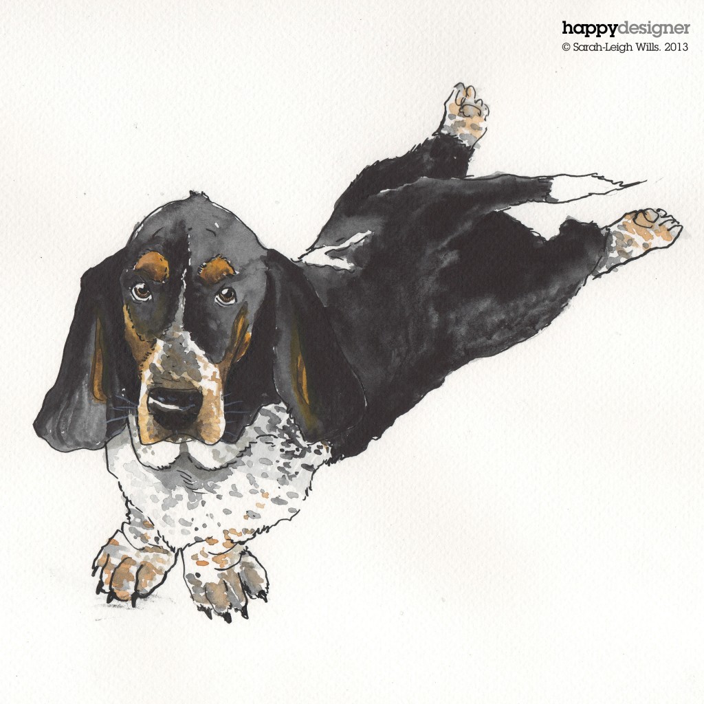 Basset-illustration4