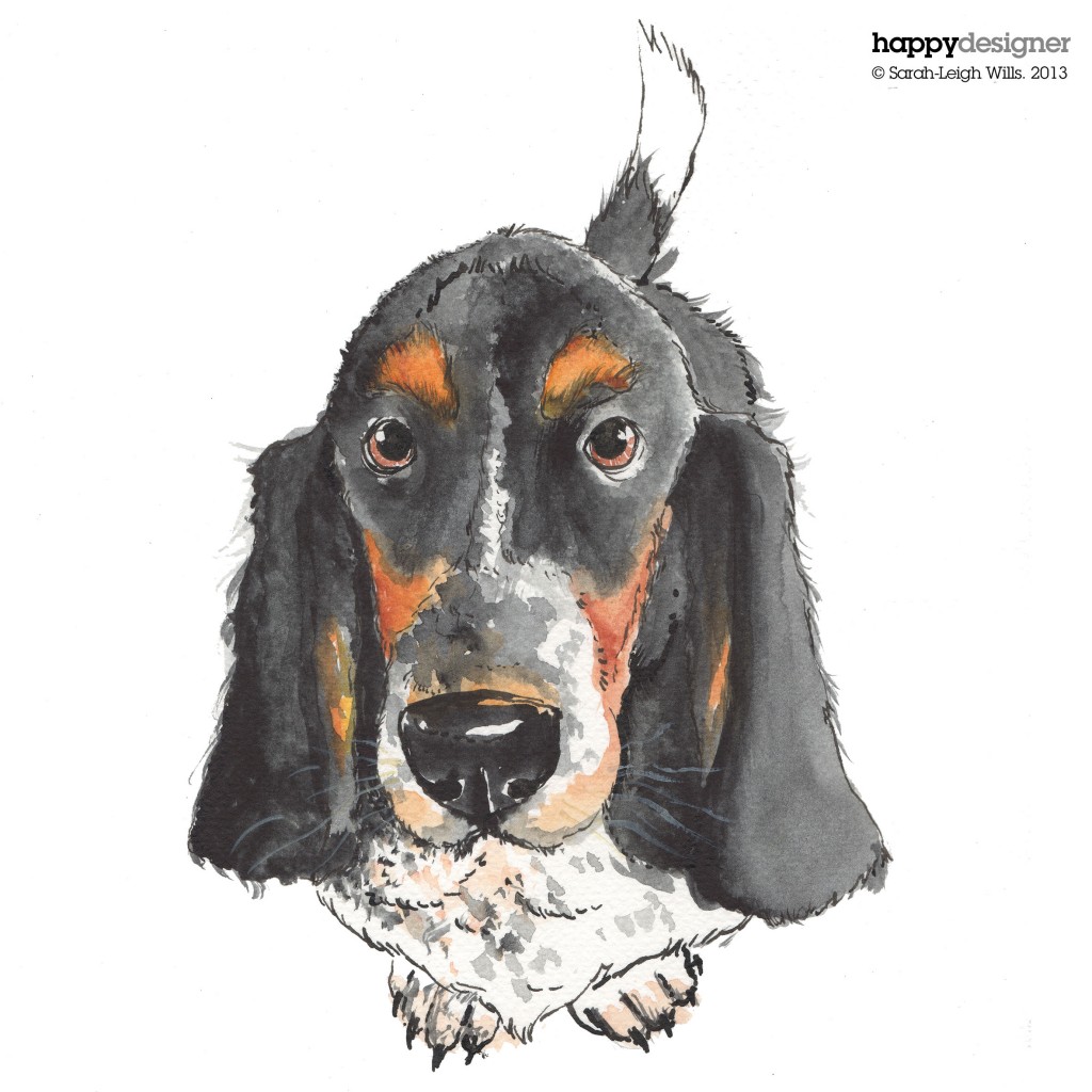 Basset-illustration5