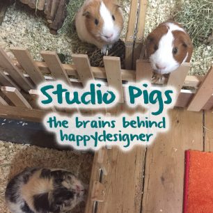 Meet The Piggles