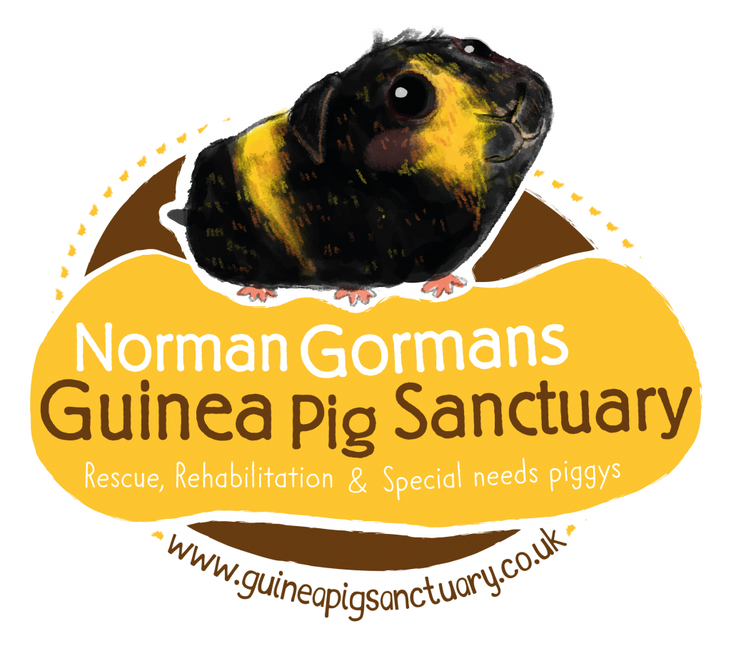 Norman Gormans Guinea Pig Sanctuary