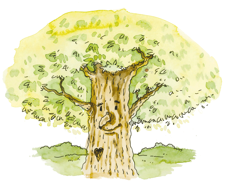 childrens book illustrator