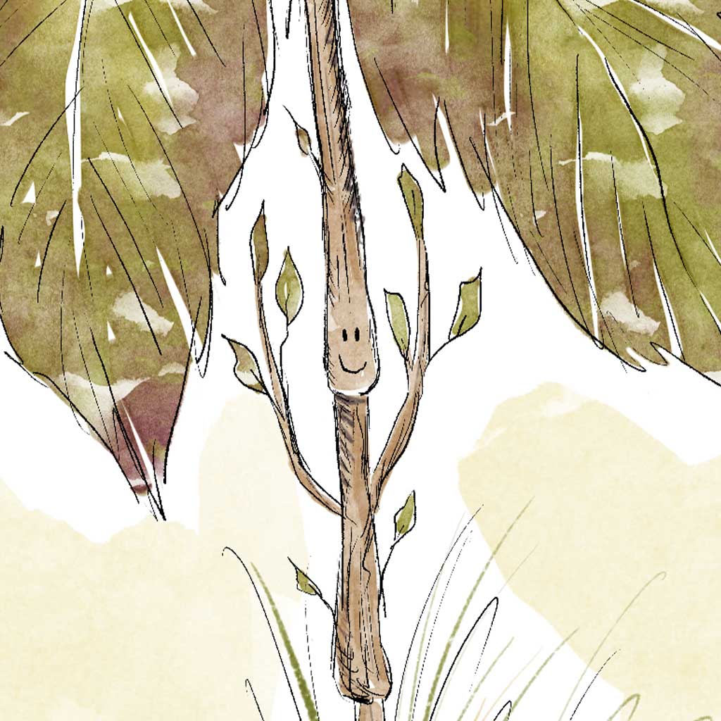 illustrator author