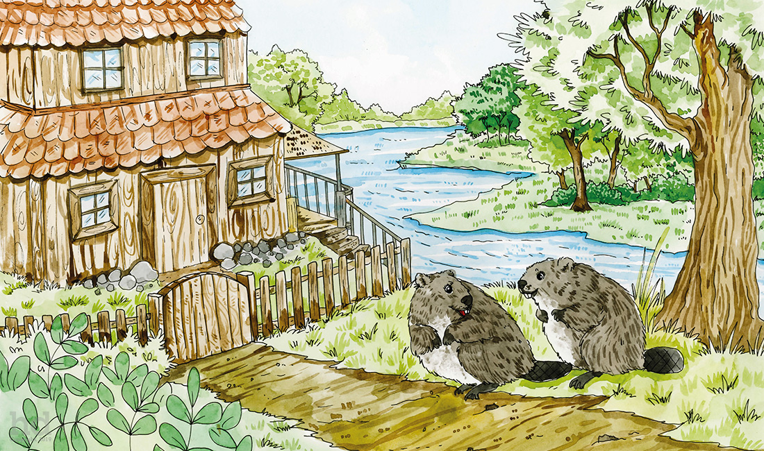 beaver-childrensbookillustration2
