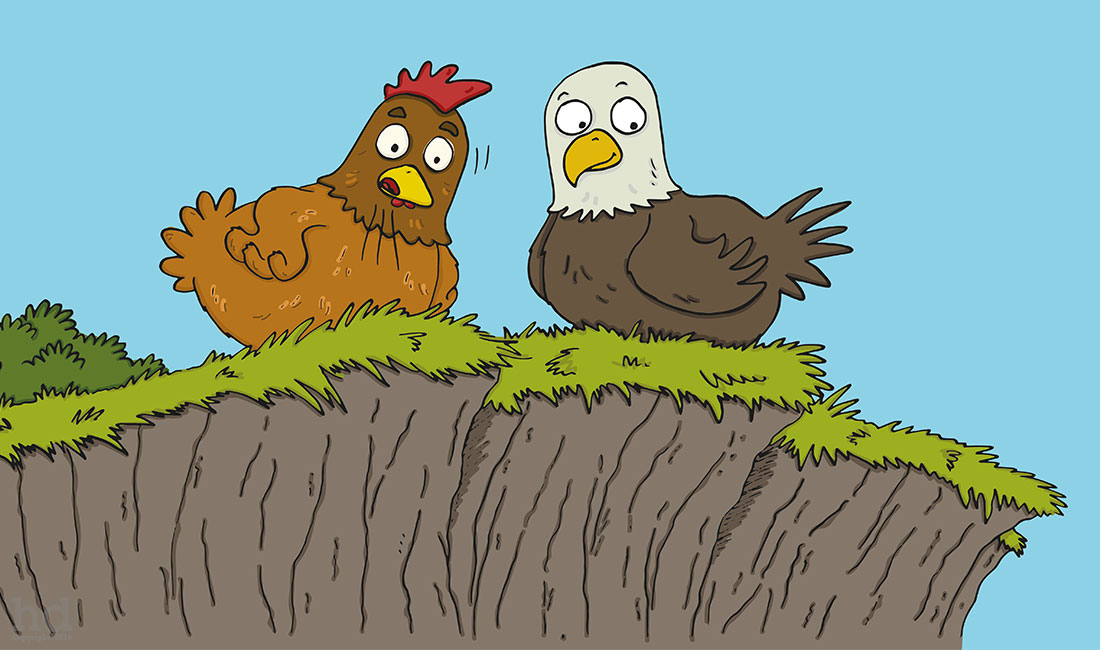 chicken-childrens-illustration-0