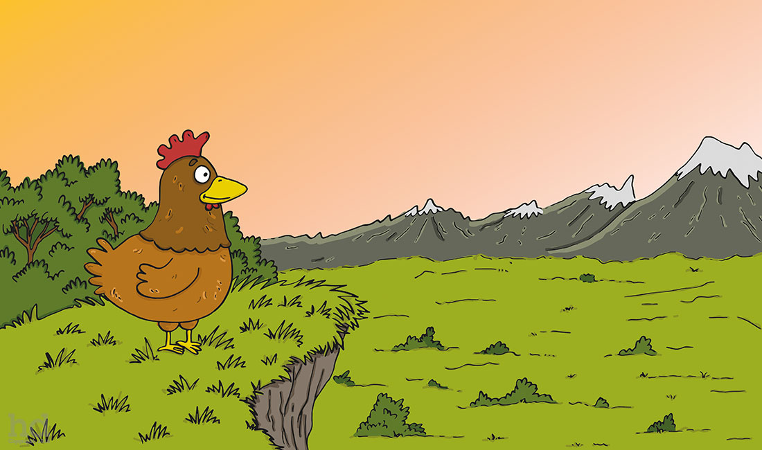 chicken-childrens-illustration-2
