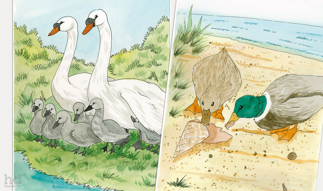 childrens-book-illustrator-ducks-2-2020