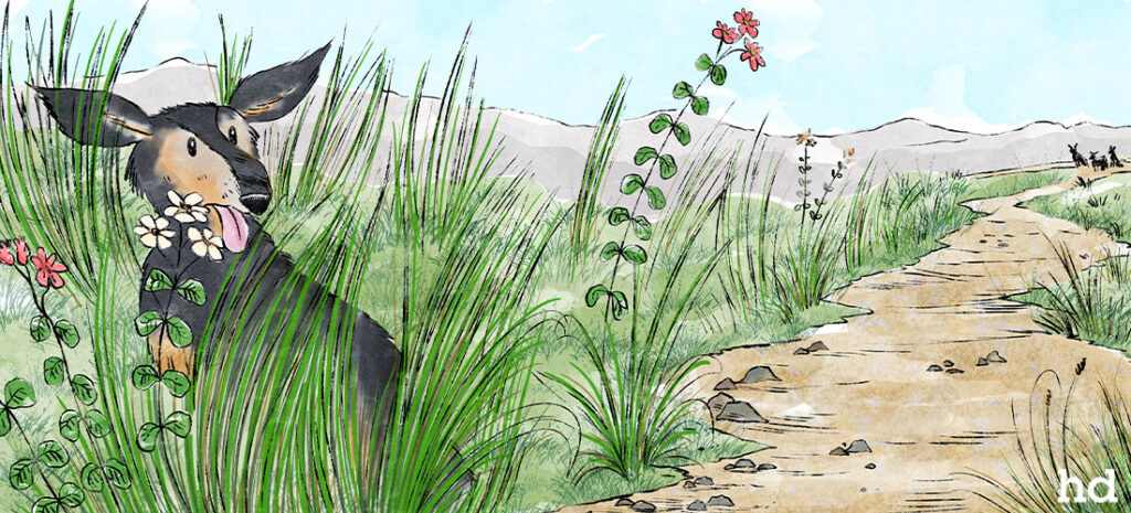 illustrator for childrens books