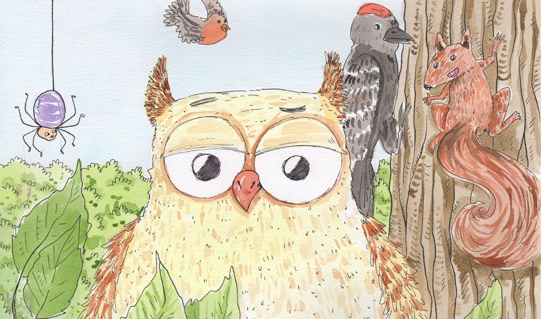 owl-illustrations1