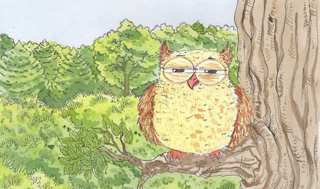 owl-illustrations2