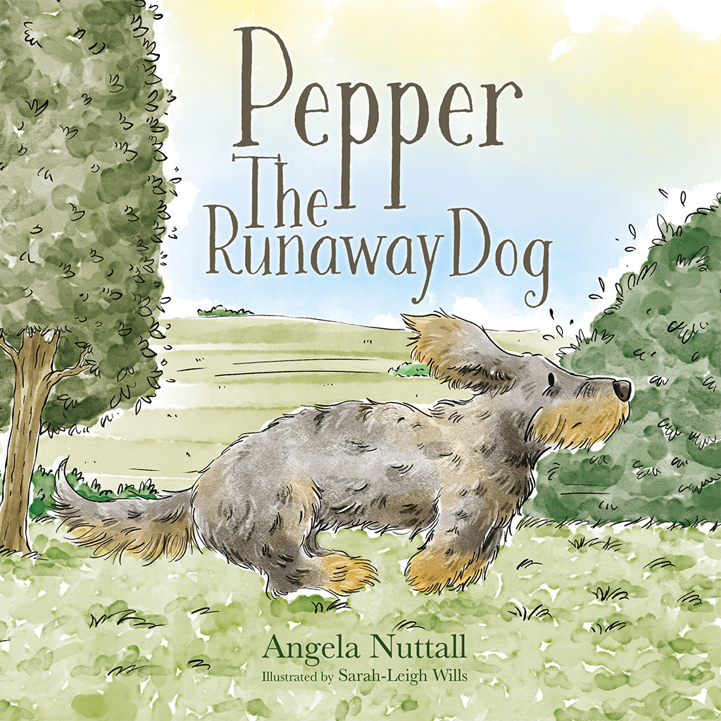 childrens book cover design