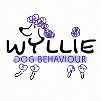 logodesigner-kent
