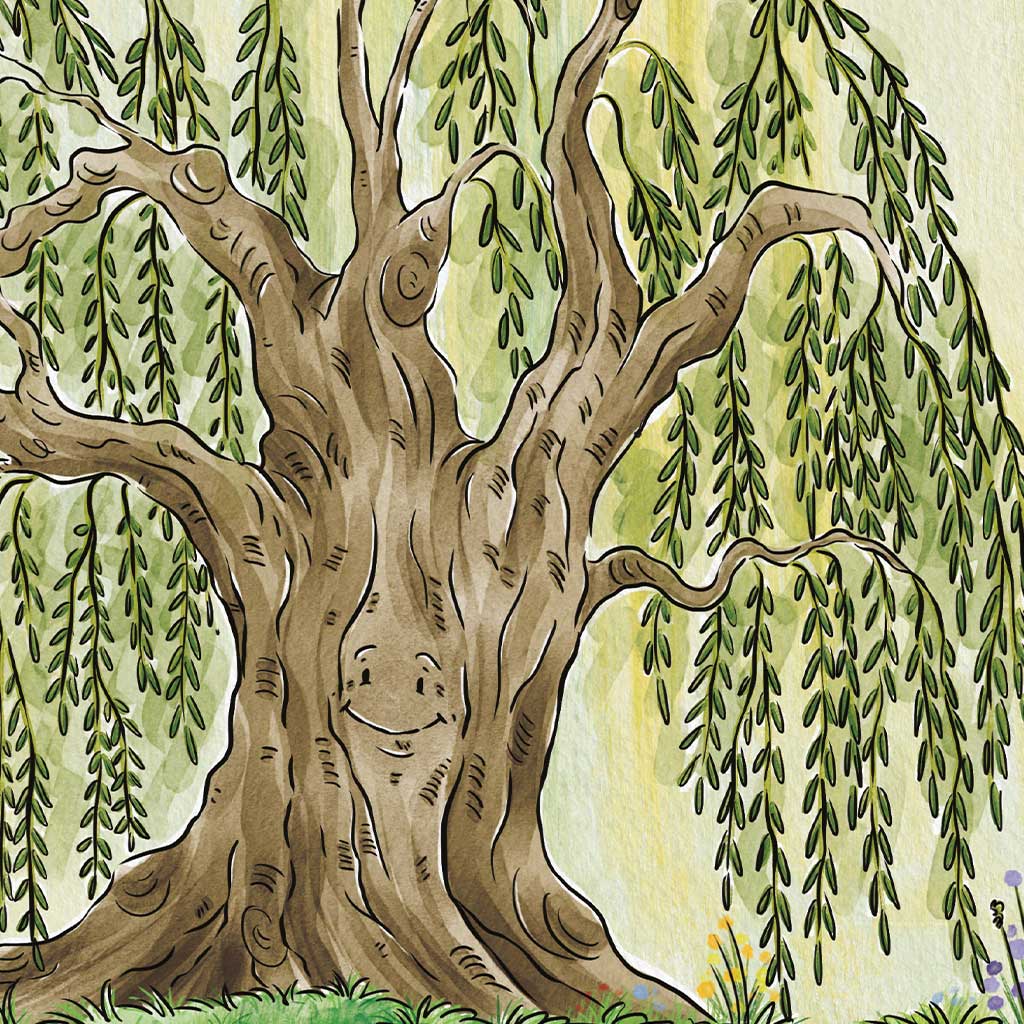 tree illustrations