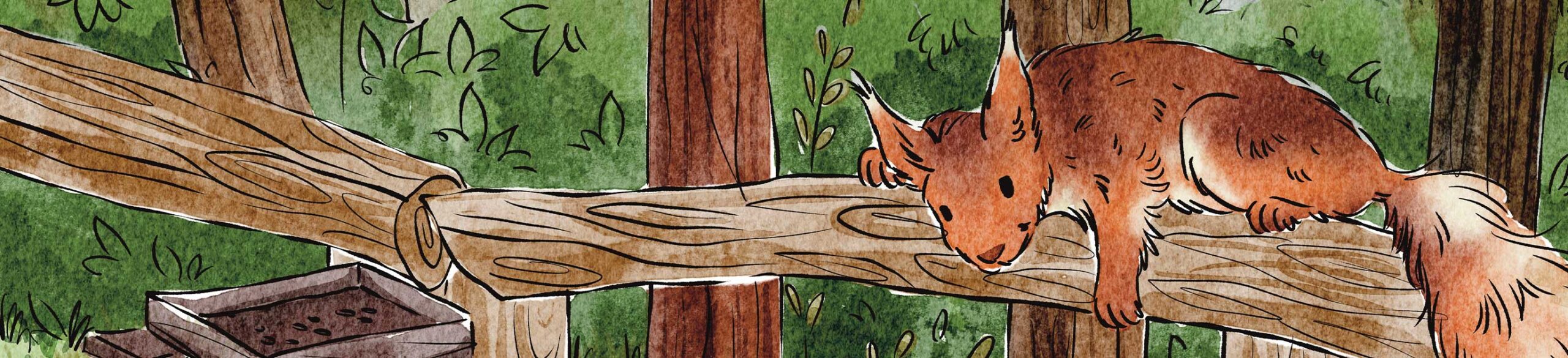 childrens book illustrator