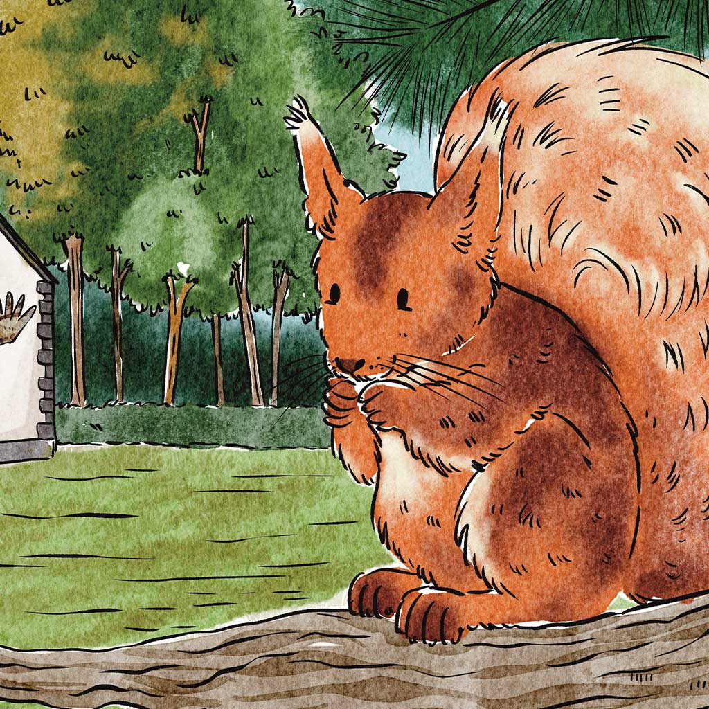 childrens book illustrator