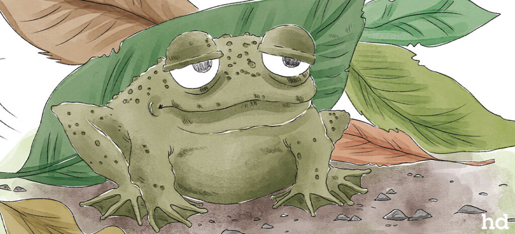 childrens picture book illustrator