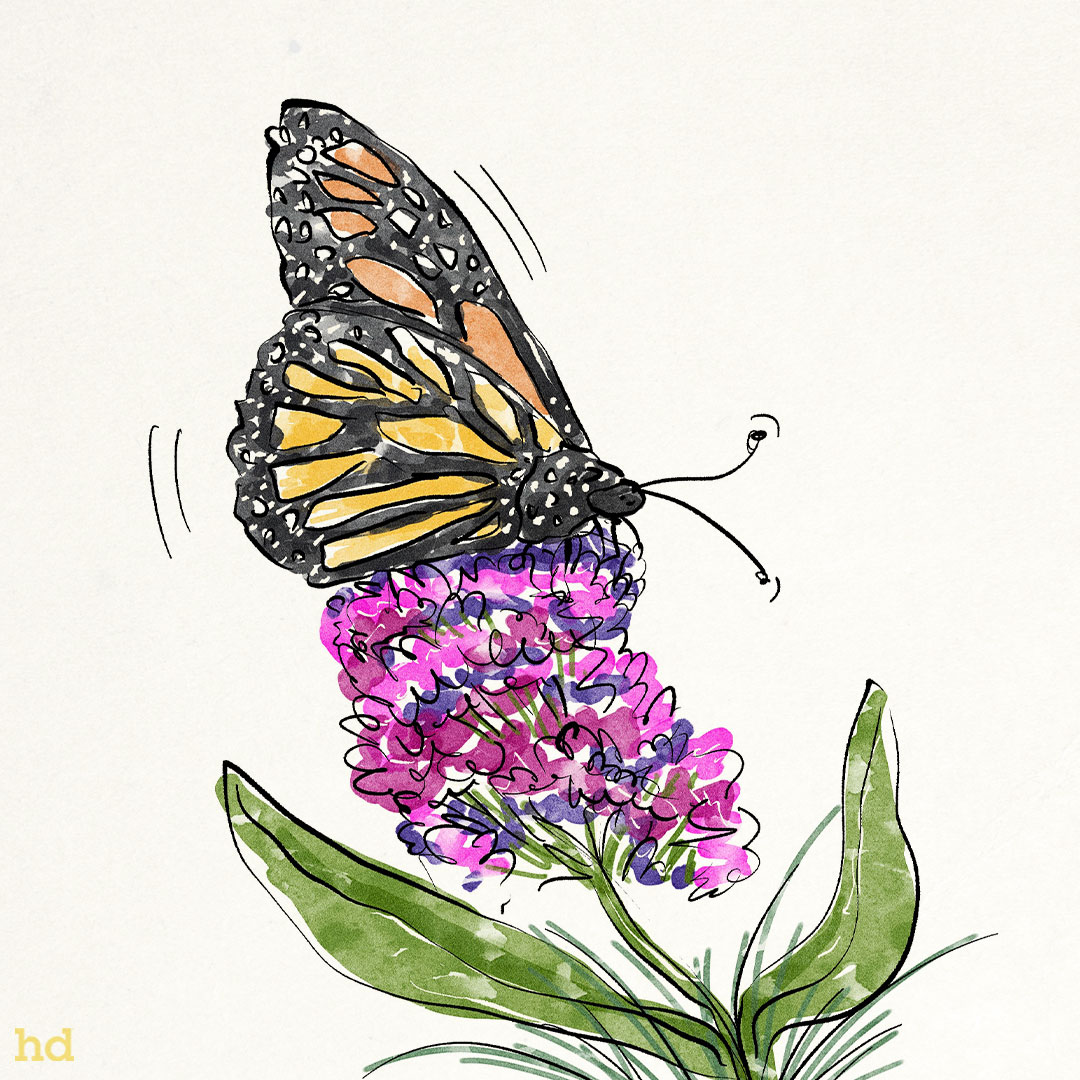 Flower Power & Paintbrushes: Why Nature is the Best Muse for Art (and Your Soul!)