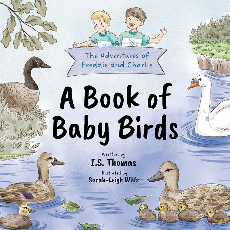 childrens book designer