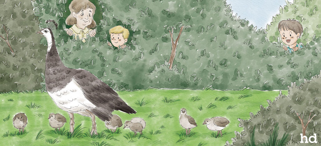 childrens book illustrator