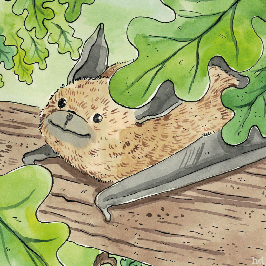 Childrens illustrator