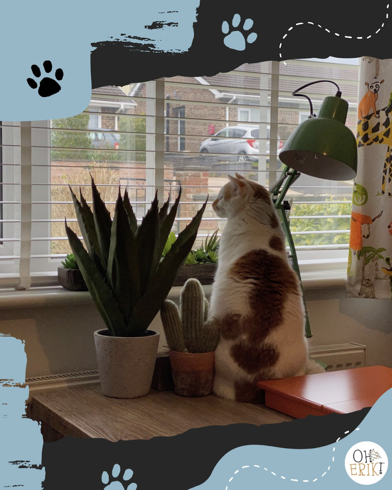 Lessons from a Cat Nap: Productivity Tips from Erik, Ernie & Eddy